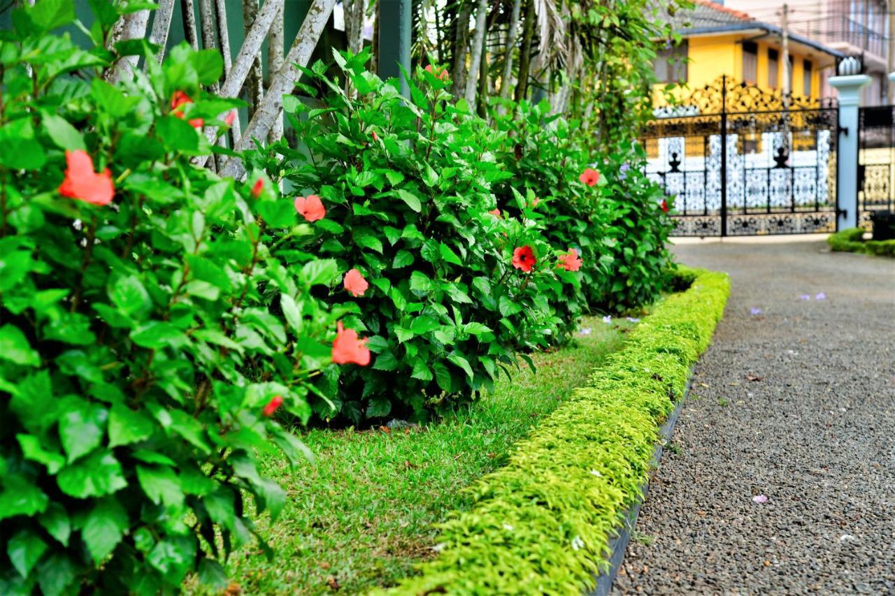 Bed and Breakfast Camellia Dwelling Hikkaduwa Exteriér fotografie