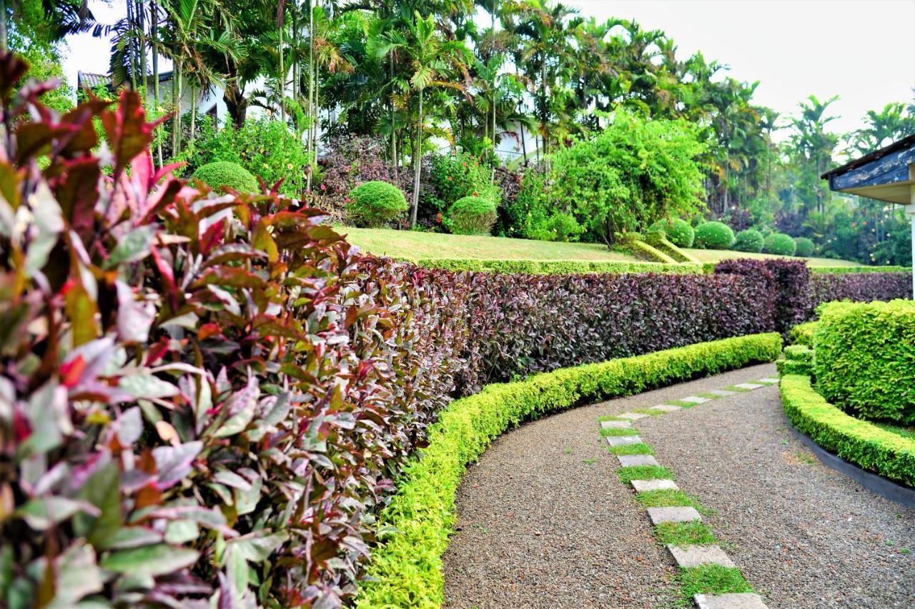 Bed and Breakfast Camellia Dwelling Hikkaduwa Exteriér fotografie