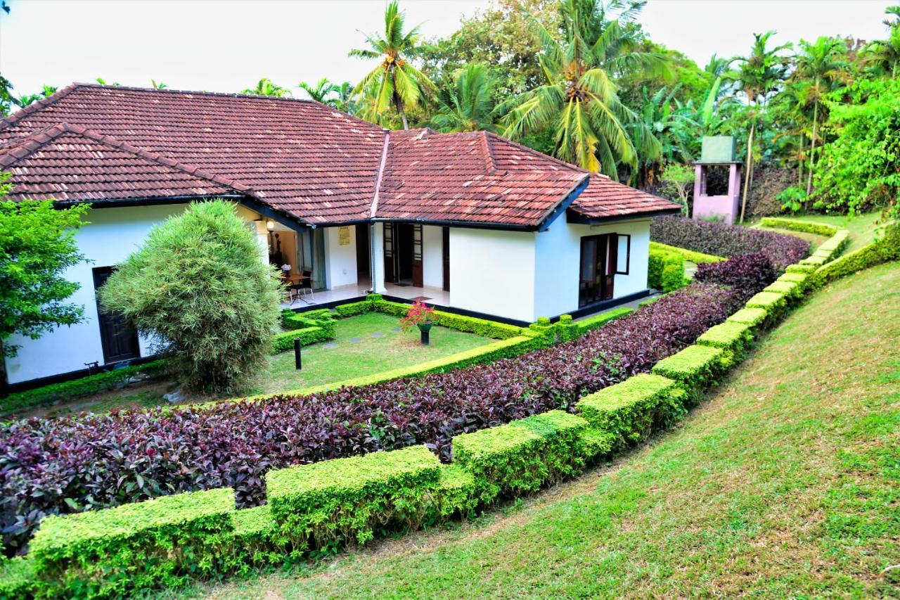 Bed and Breakfast Camellia Dwelling Hikkaduwa Exteriér fotografie