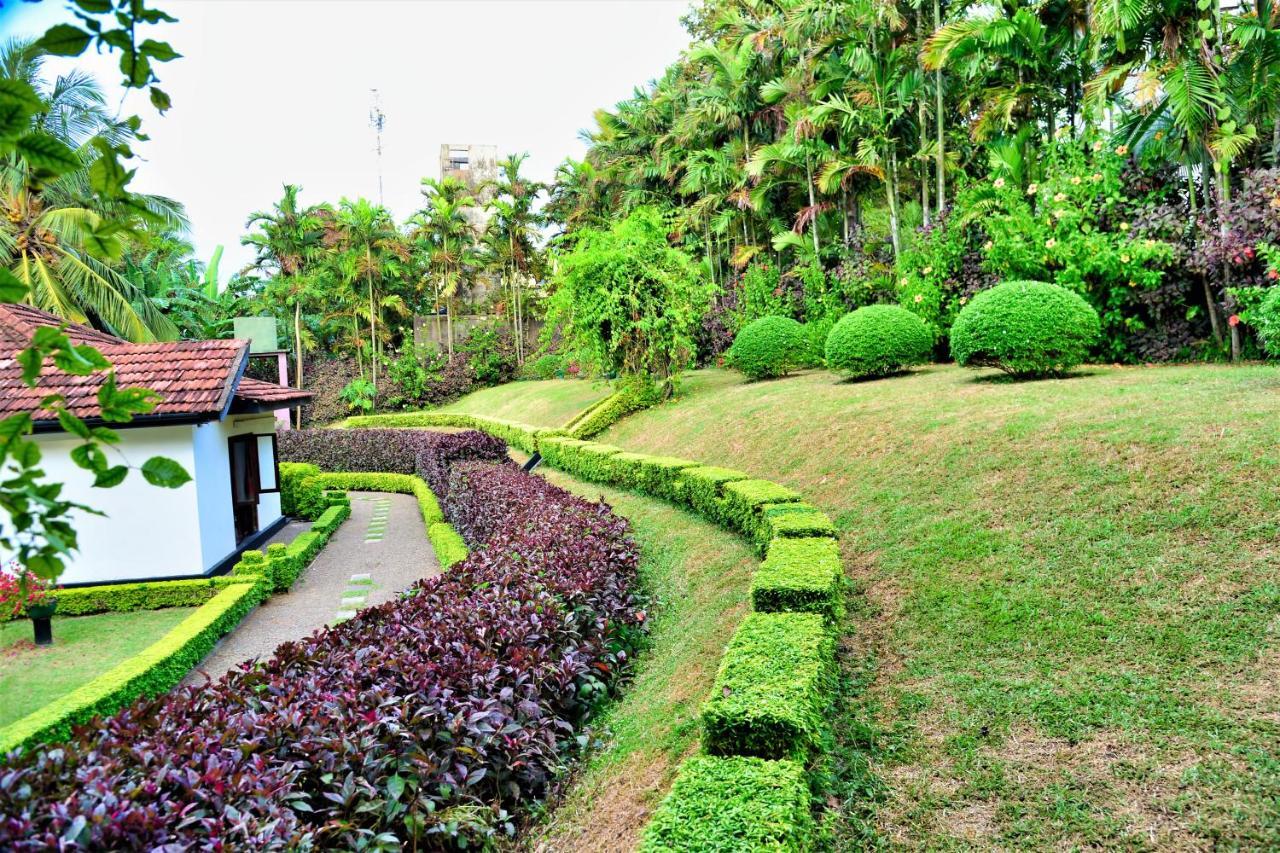 Bed and Breakfast Camellia Dwelling Hikkaduwa Exteriér fotografie