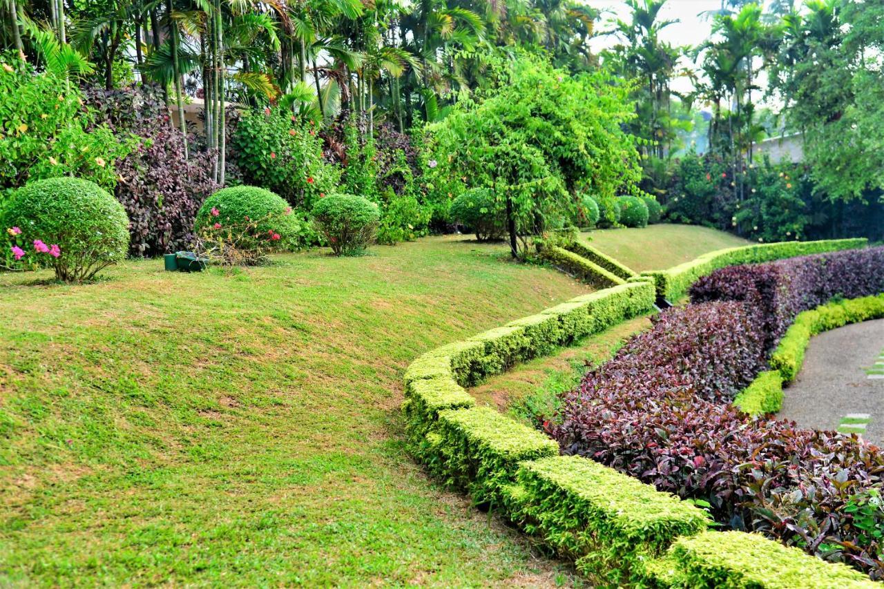 Bed and Breakfast Camellia Dwelling Hikkaduwa Exteriér fotografie